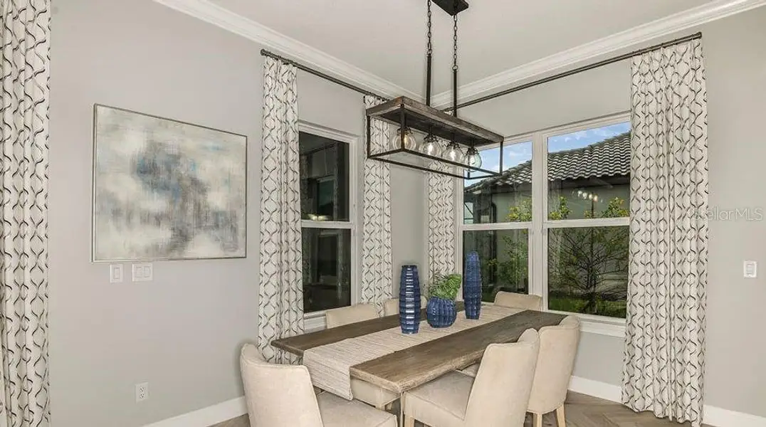 REPRESENTATIVE PHOTOS