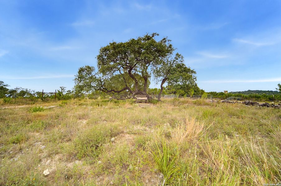 Natural landscape and outdoor views near  in Comfort (Image 24).
