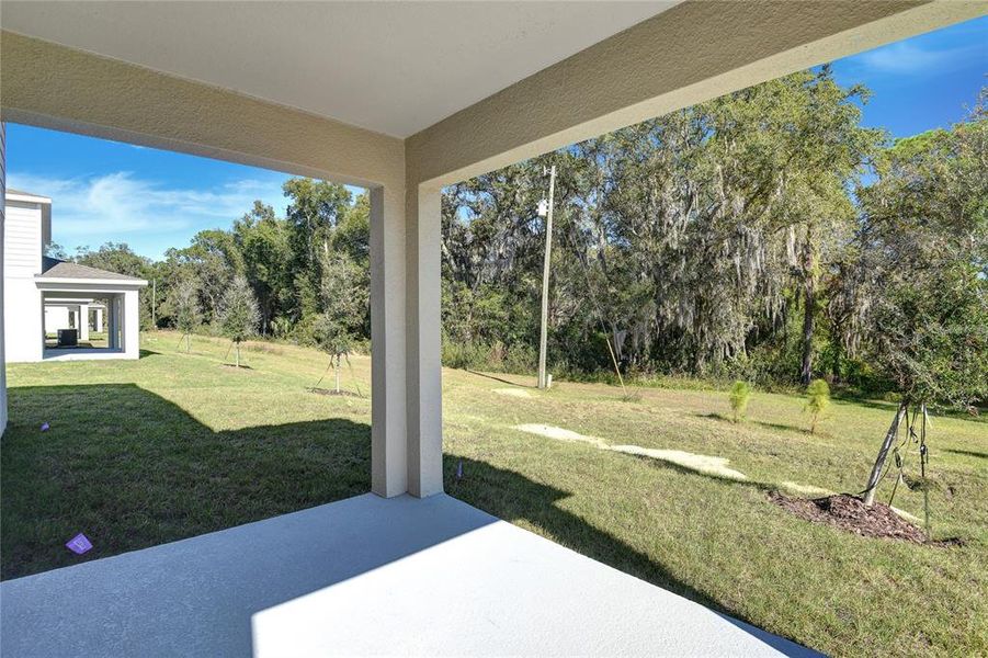 Exterior details and patio area of a home in Seasons at Wekiva Ridge, Mount Dora (Image 3).