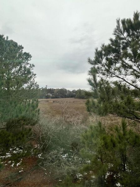 Natural landscape and outdoor views near in Charleston (Image 43). Natural landscape and outdoor views near in Charleston (Image 43).