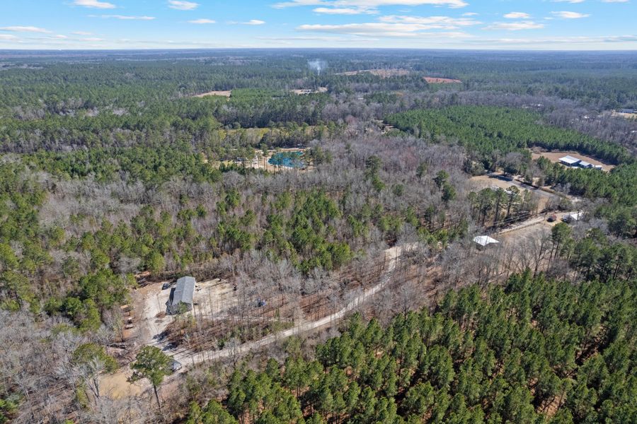 Natural landscape and outdoor views near  in Cottageville (Image 51).