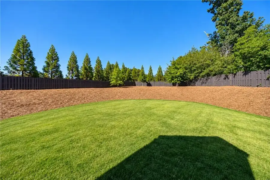 Natural landscape and outdoor views near  in Sandy Springs (Image 79).