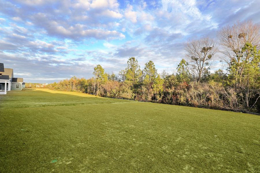 Natural landscape and outdoor views near Arcadia in Myrtle Beach (Image 40).