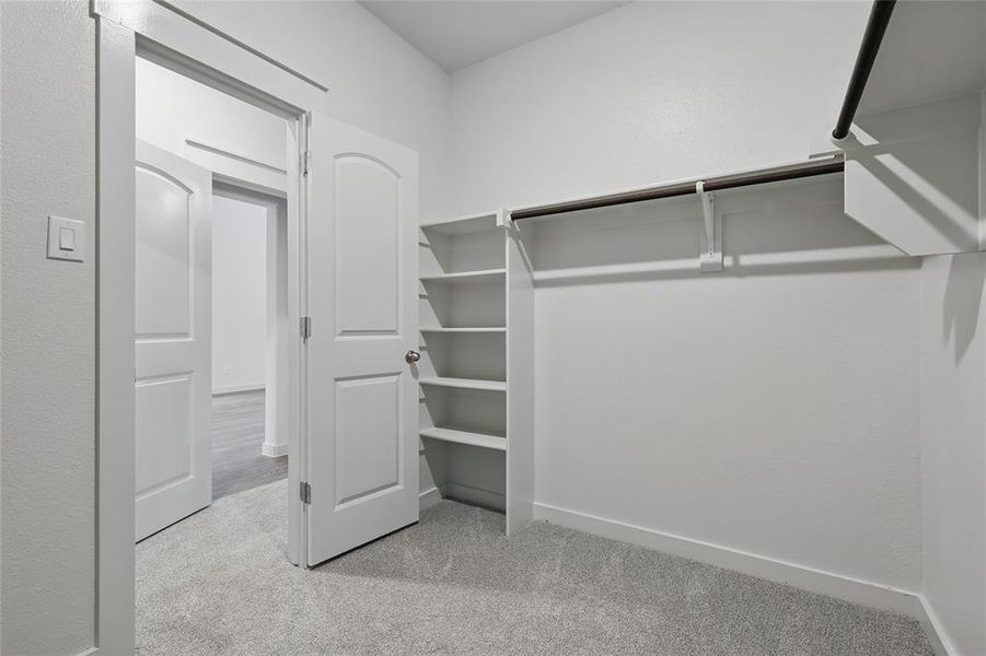 Walk in closet featuring carpet floors Walk in closet featuring carpet floors