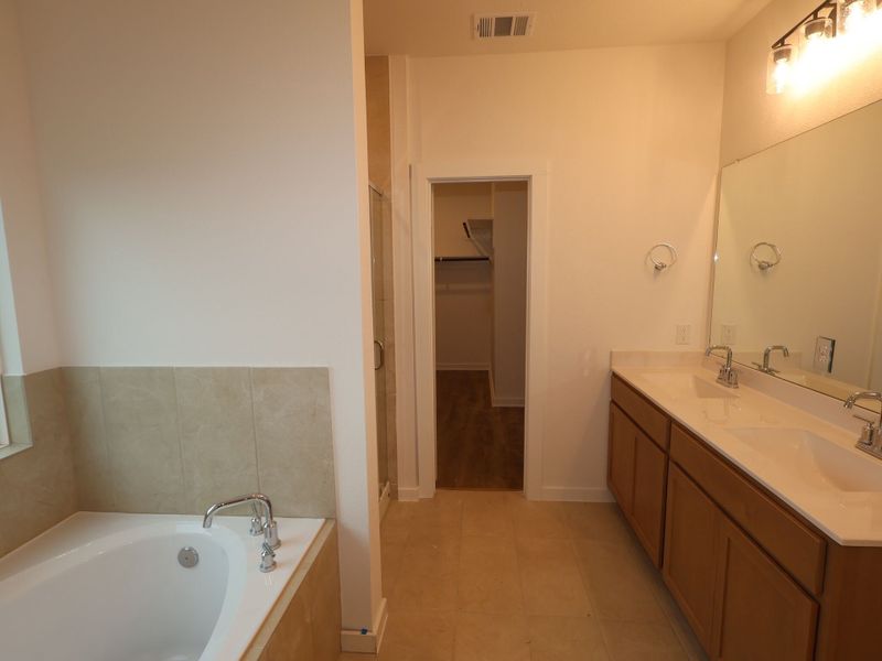 Owner's Bathroom