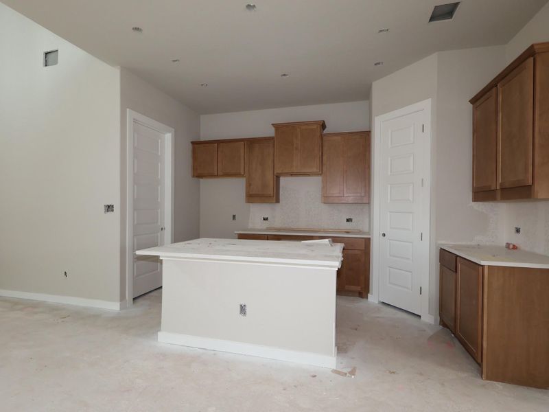 In-progress construction of a new home in Heritage, Dripping Springs, TX (Image 16).
