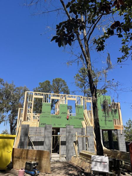 In-progress construction of a new home in The Preserve at Pennys Creek, Johns Island, SC (Image 39).