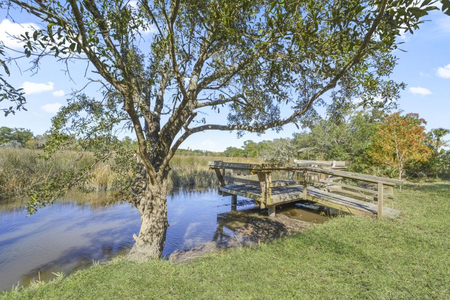 Natural landscape and outdoor views near  in Charleston (Image 54).