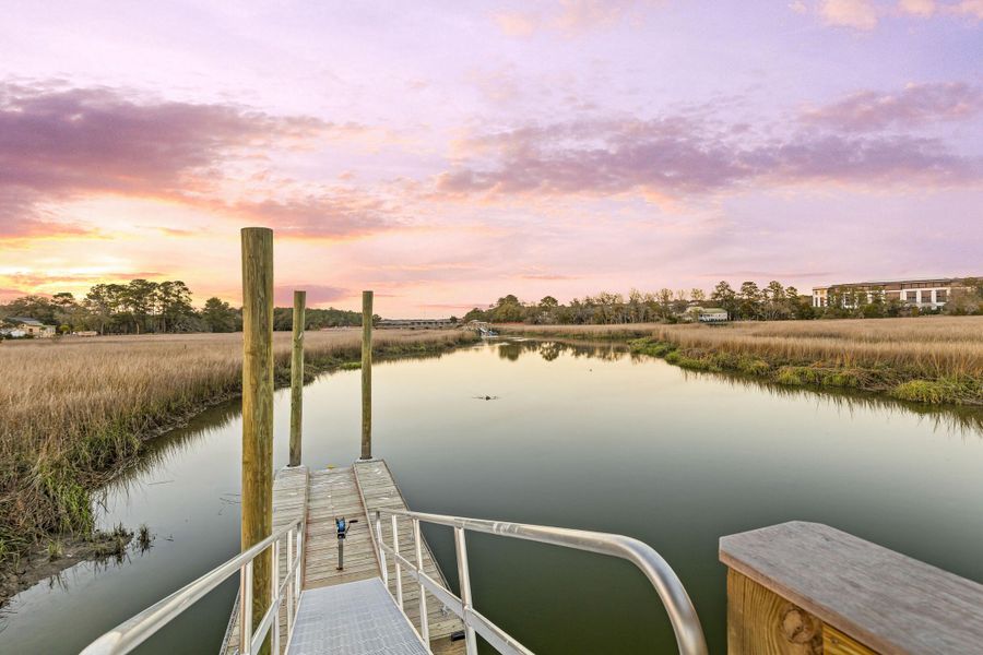 Natural landscape and outdoor views near  in Charleston (Image 116).