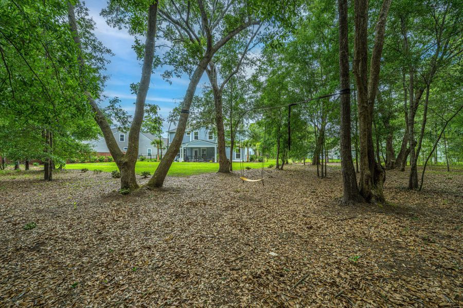 Natural landscape and outdoor views near Sea Island Preserve in Johns Island (Image 92).