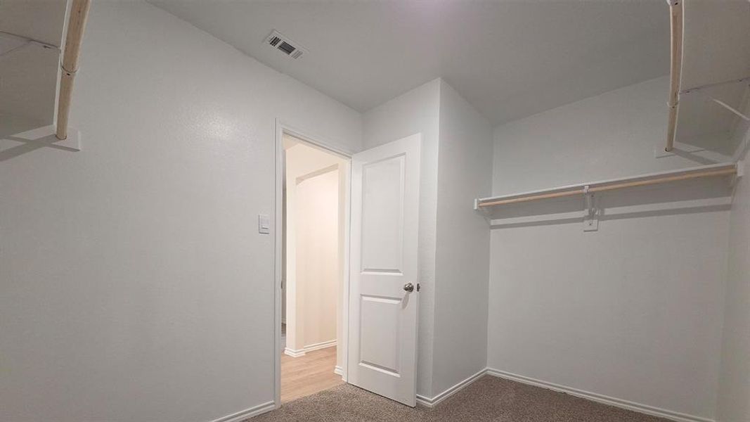 Spacious closet featuring carpet flooring, crisp white walls, and built-in shelving with hanging rods