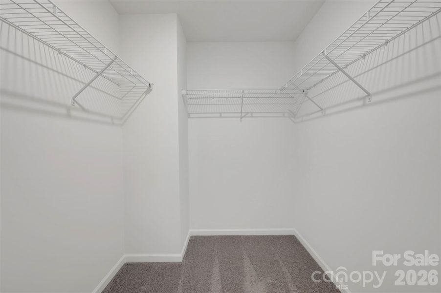 Owner's suite Owner's suite