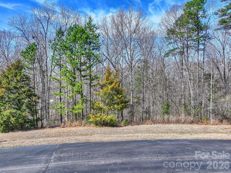 Homesite #14 - .82 acre wooded, private basement lot