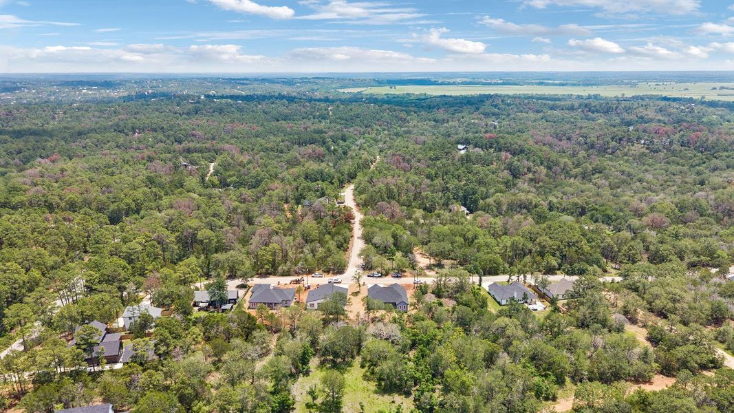 Natural landscape and outdoor views near  in Bastrop (Image 26).