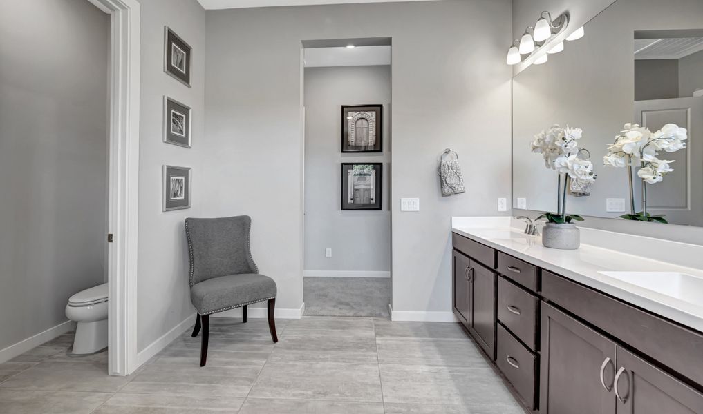 Dual sinks in owner's bath