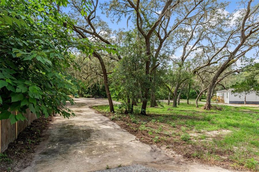 Natural landscape and outdoor views near in Spring Hill (Image 32). Natural landscape and outdoor views near in Spring Hill (Image 32).