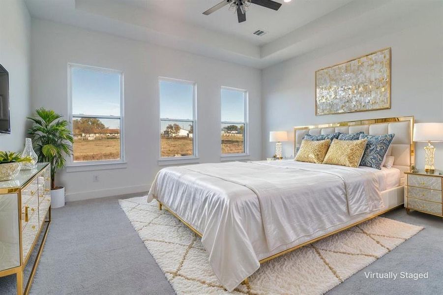Bedroom featuring carpet floors, a raised ceiling, and a ceiling fan