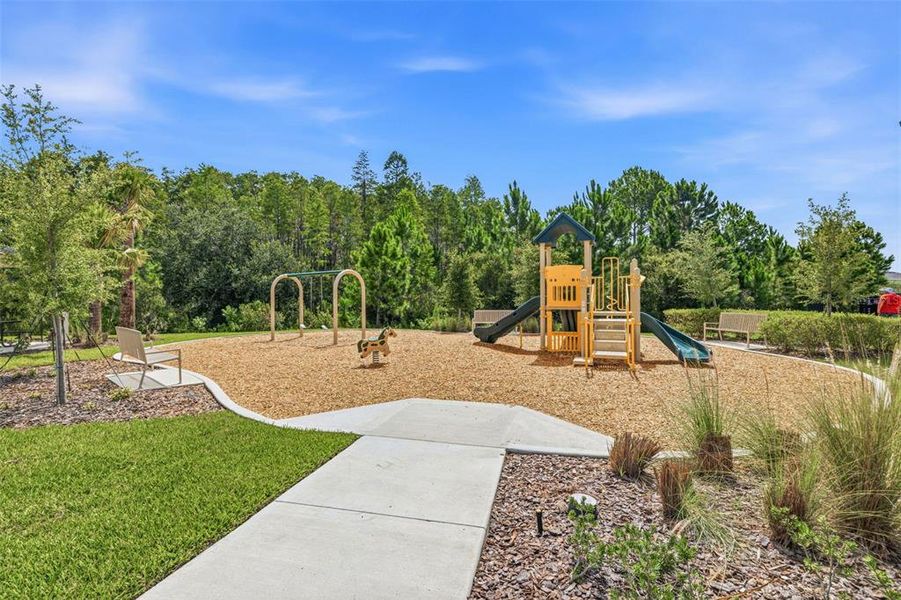 Community amenities in Woodcreek, Wesley Chapel (Image 27). Community amenities in Woodcreek, Wesley Chapel (Image 27).