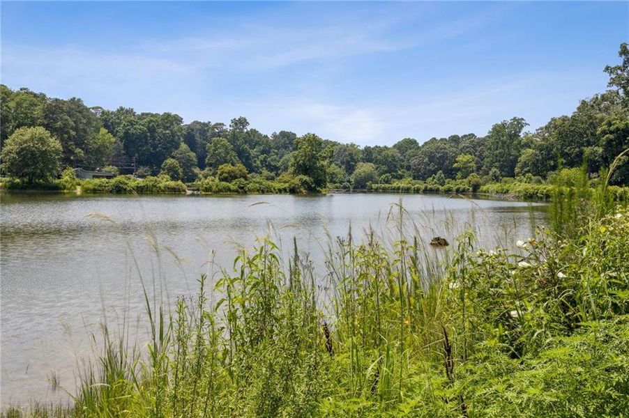 Natural landscape and outdoor views near  in Pine Lake (Image 52).