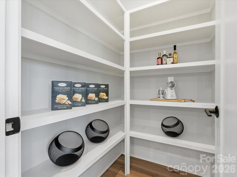 Bloom Plan Model Photo Bloom Plan Model Photo