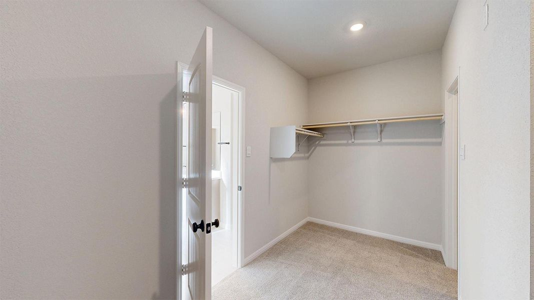 Walk in closet with light colored carpet
