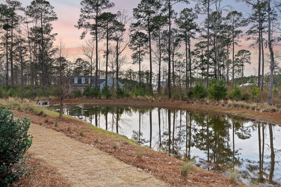 Natural landscape and outdoor views near  in Ravenel (Image 63).