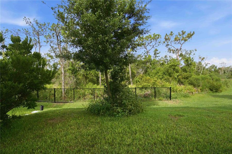 Natural landscape and outdoor views near  in Bradenton (Image 44).