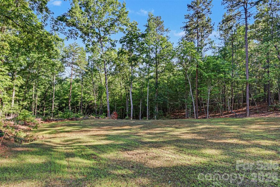 Natural landscape and outdoor views near  in Blacksburg (Image 23).