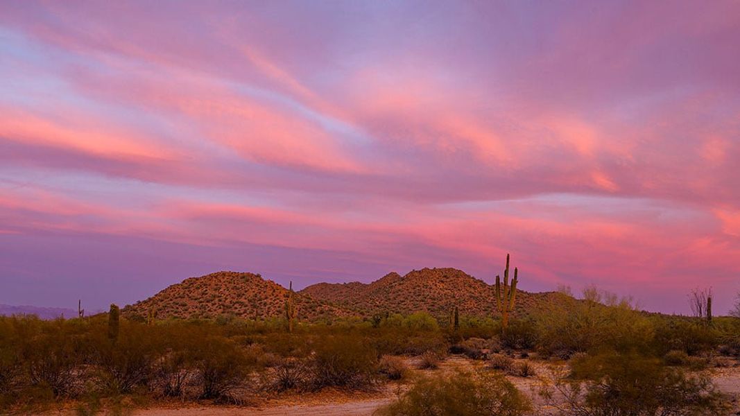 Natural landscape and outdoor views near Ladera Trails in Queen Creek (Image 23).