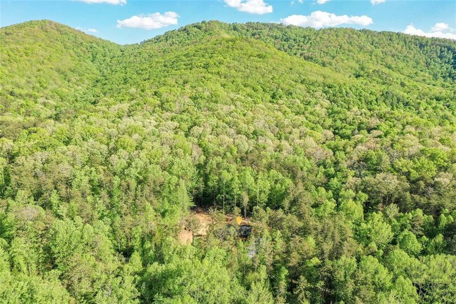 Natural landscape and outdoor views near  in Ellijay (Image 48).