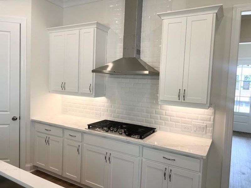 Close-up of interior finishes inside a home in Palisades Single Family, Cumming (Image 17). Close-up of interior finishes inside a home in Palisades Single Family, Cumming (Image 17).