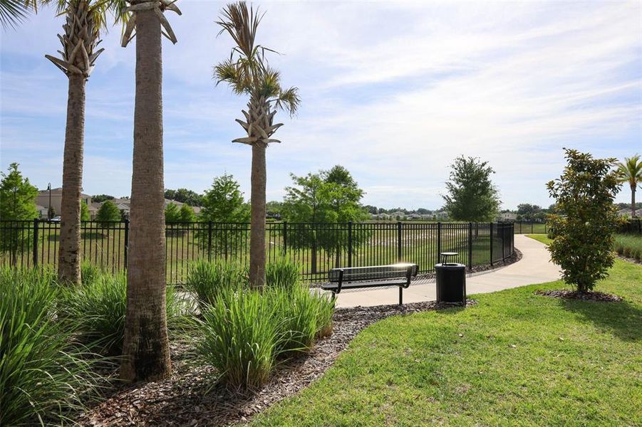 Image 36 of a home in Windrose.