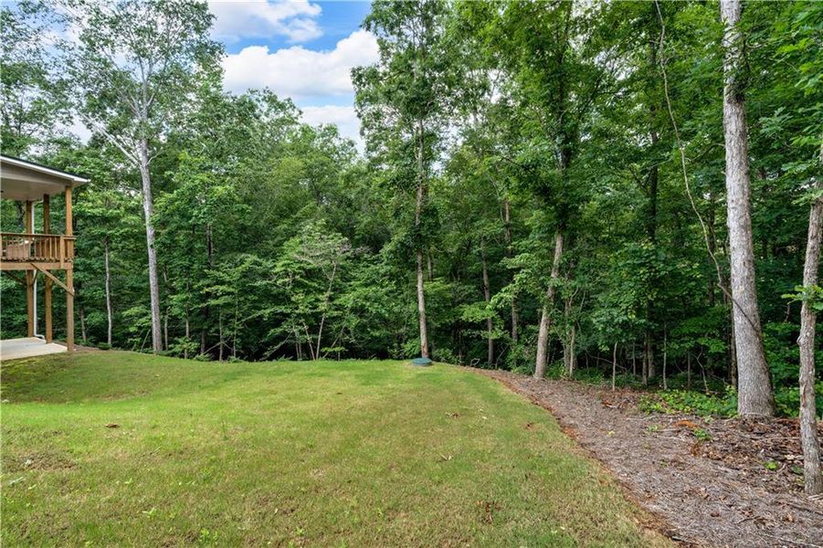 Exterior details and patio area of a home in The Estates at Hurricane Pointe, Douglasville (Image 28). Exterior details and patio area of a home in The Estates at Hurricane Pointe, Douglasville (Image 28).