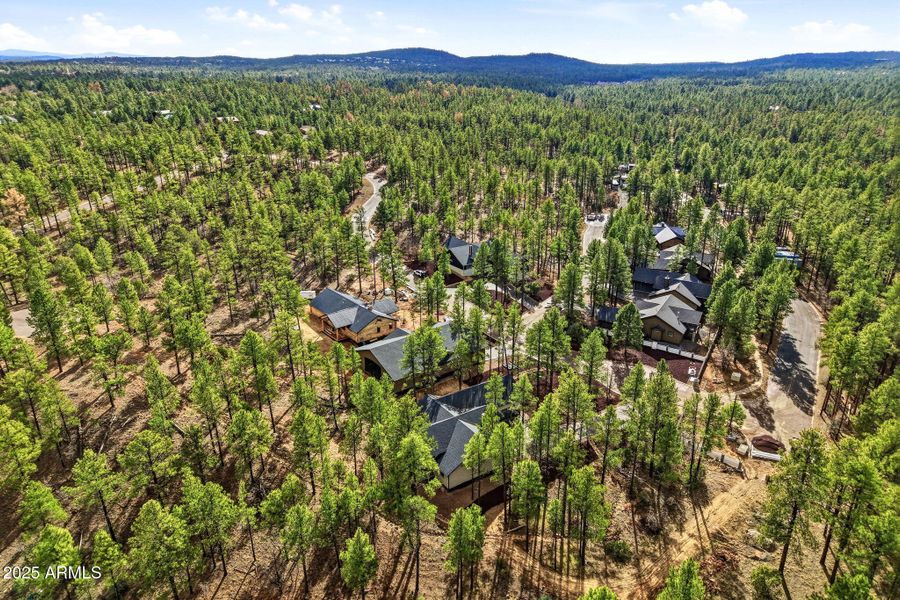 2400WBenchRd-ShowLow-AZ-34