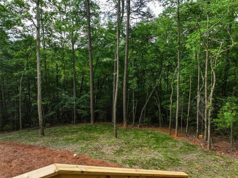 Natural landscape and outdoor views near in Ellijay (Image 46). Natural landscape and outdoor views near in Ellijay (Image 46).