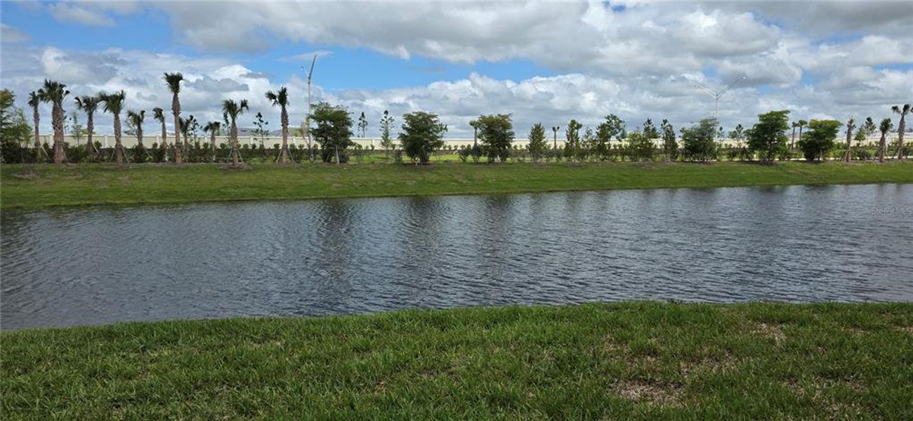Natural landscape and outdoor views near Calusa Country Club in Lakewood Ranch (Image 26).