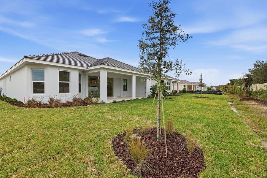 Exterior details and patio area of a home in Esplanade at Wiregrass Ranch, Wesley Chapel (Image 27). Exterior details and patio area of a home in Esplanade at Wiregrass Ranch, Wesley Chapel (Image 27).