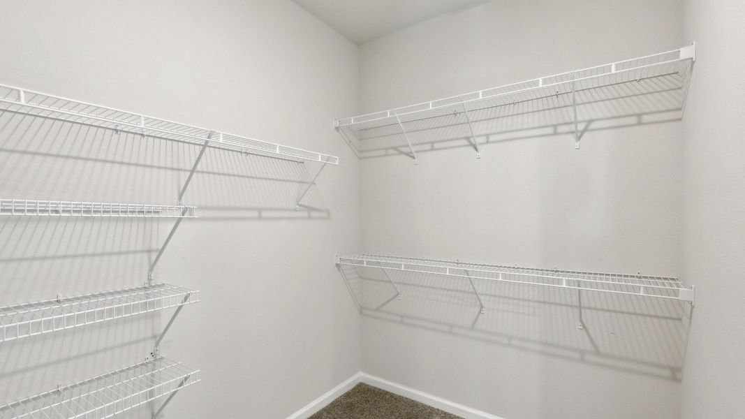 Luxurious walk-in closet featuring sleek architectural design in a residential single-family home.