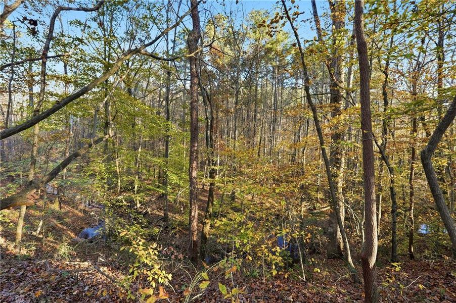 Natural landscape and outdoor views near in Jasper (Image 36). Natural landscape and outdoor views near in Jasper (Image 36).