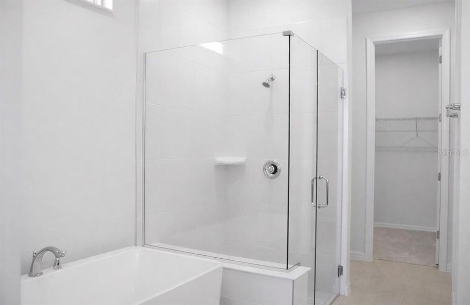 Furnished interior view inside a new home in , Clermont (Image 5).