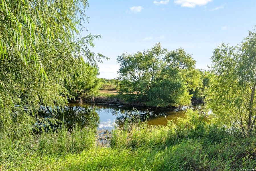 Natural landscape and outdoor views near  in Kyle (Image 65).