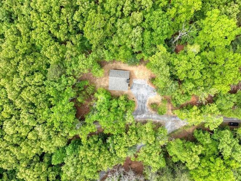 Natural landscape and outdoor views near  in Blairsville (Image 32).