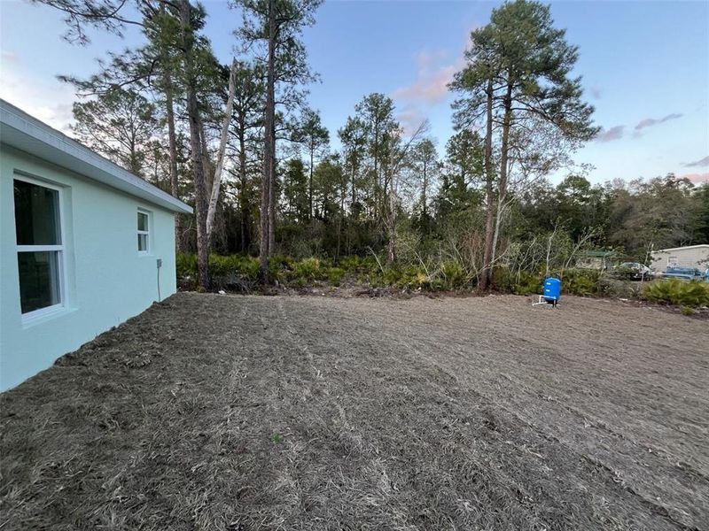 Exterior details and patio area of a home in , Ocklawaha (Image 15).