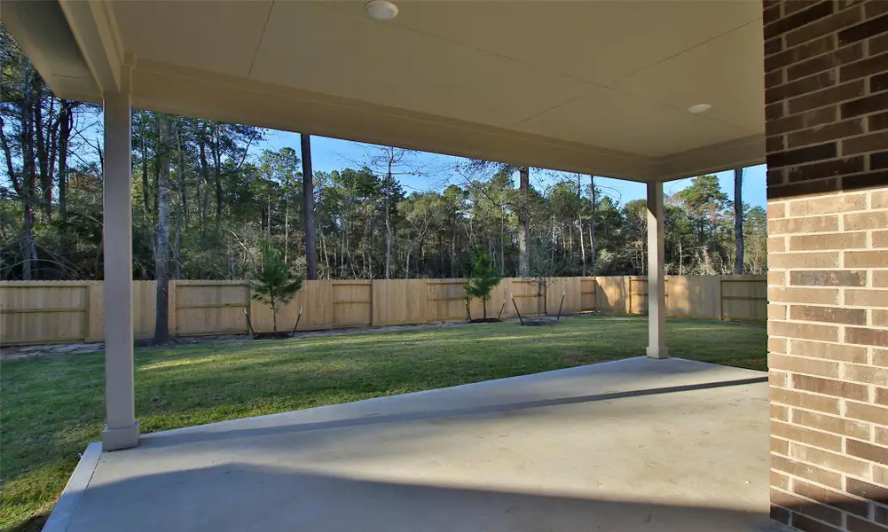 Exterior details and patio area of a home in The Woodlands Hills, Willis (Image 3).