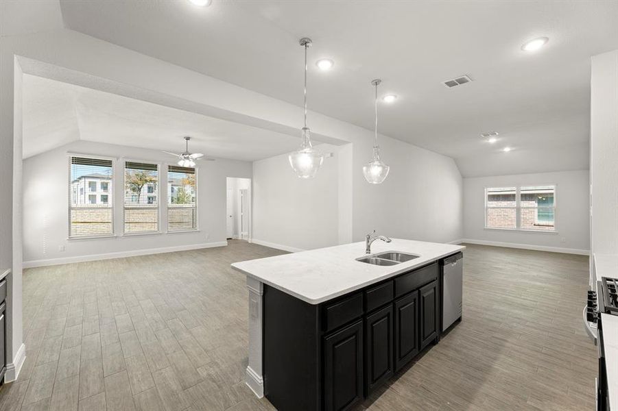 11. 103 Whistling Duck - Kitchen (3)