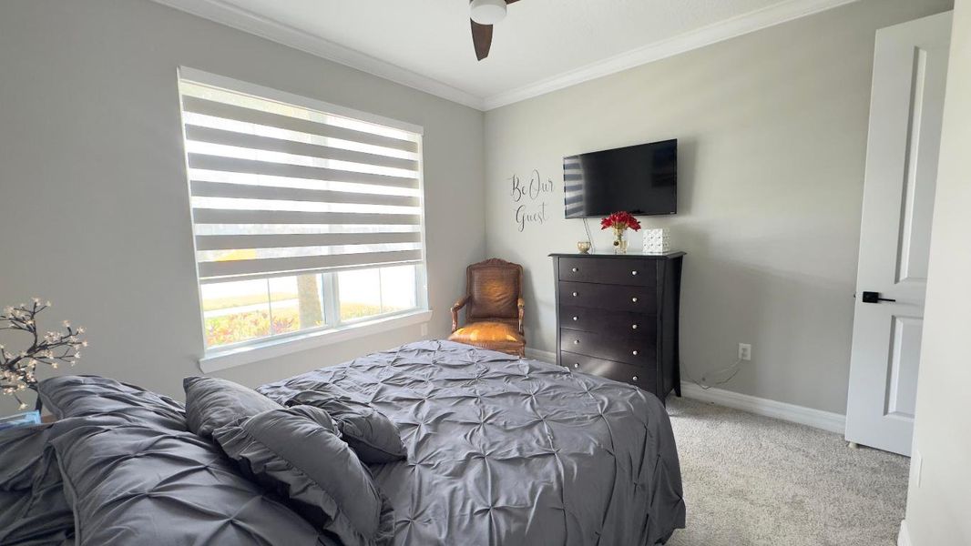 Guest Bedroom Guest Bedroom