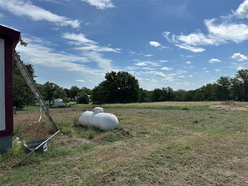 Expansive grassy terrain with mature trees bordering the property Expansive grassy terrain with mature trees bordering the property