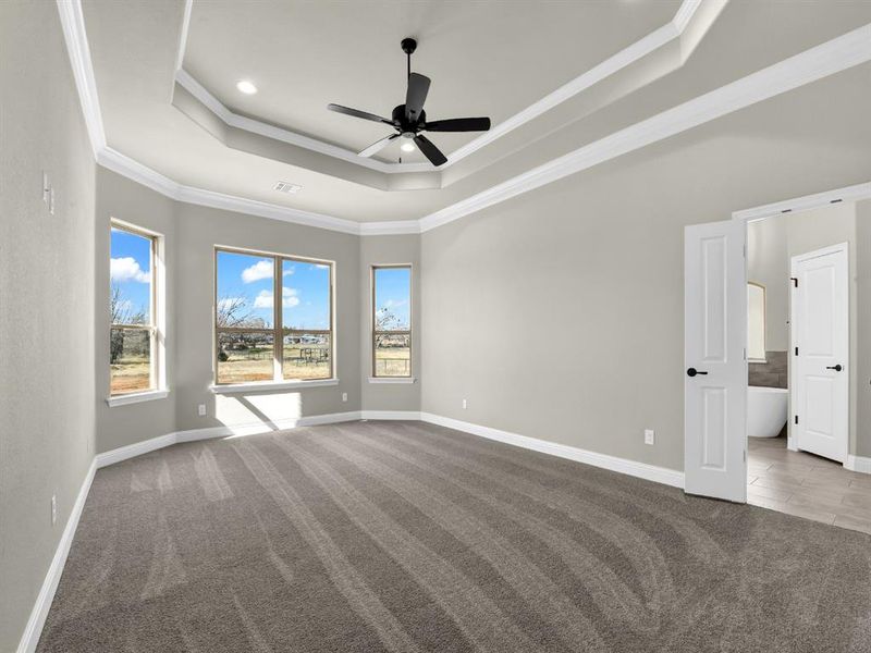 Carpeted spare room with ceiling fan, ornamental molding, and a tray ceiling