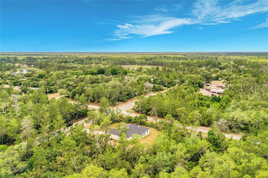 Natural landscape and outdoor views near  in Eustis (Image 50).