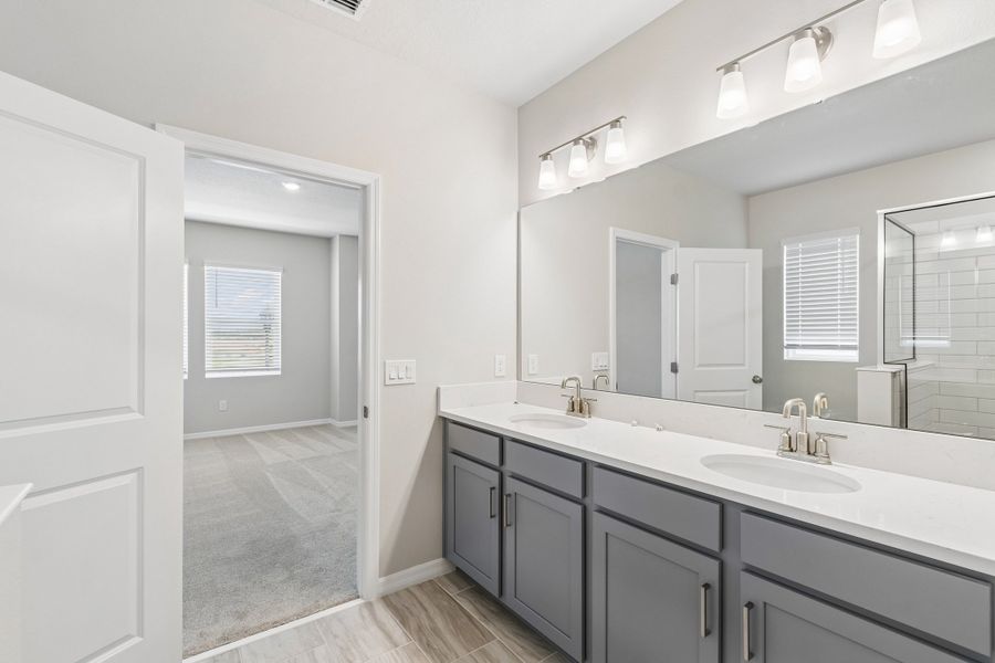 Owner's Bath